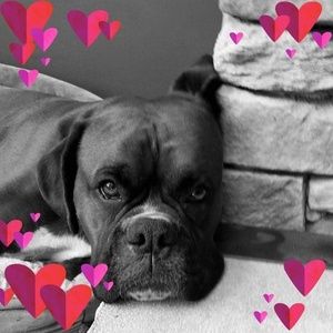 Meet your Posher, Pam